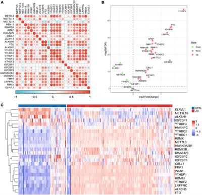 Identification of molecular patterns and diagnostic biomarkers in juvenile idiopathic arthritis based on the gene expression of m6A regulators